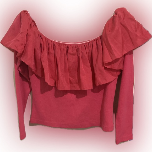 Anthropologie Off-The-Shoulder Organza Ruffle Top - Picture 9 of 16